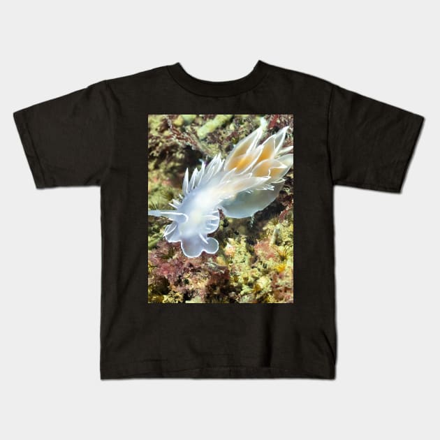 Alabaster Nudibranch / White-lined Dirona Kids T-Shirt by naturediver